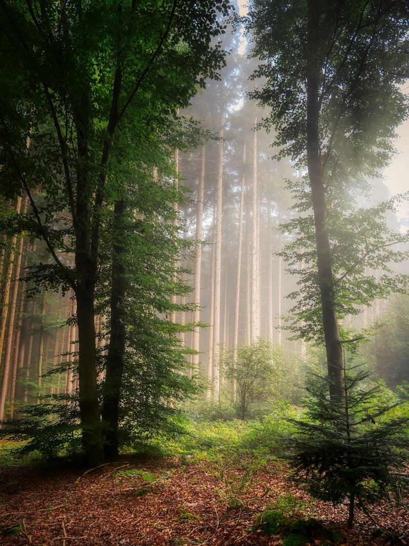 Wilderness Treks