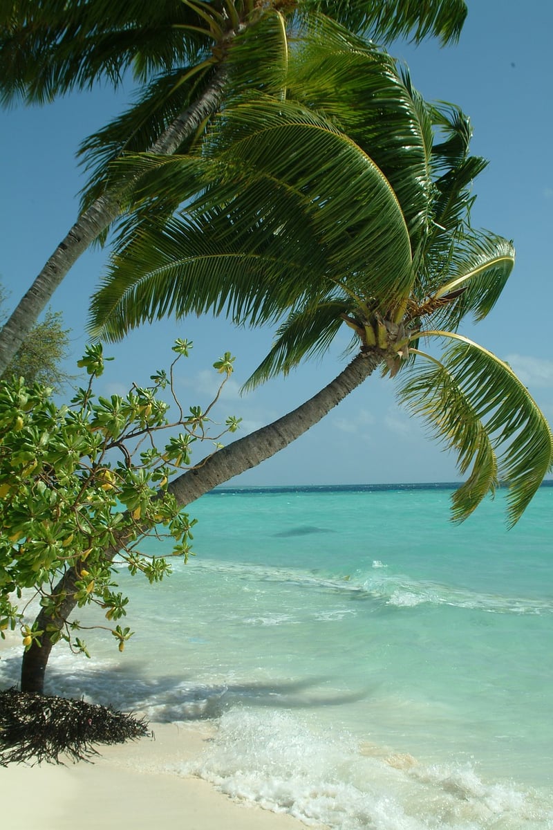 The Maldives